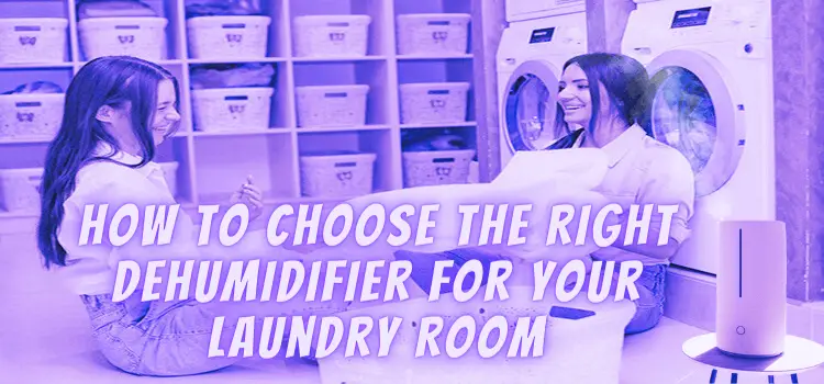 Dehumidifier for Your Laundry Room. How to Choose the Right Dehumidifier for Your Laundry Room.
