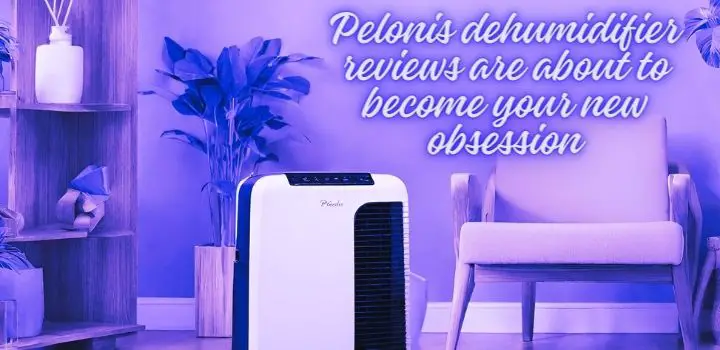pelonis-dehumidifier-reviews.
